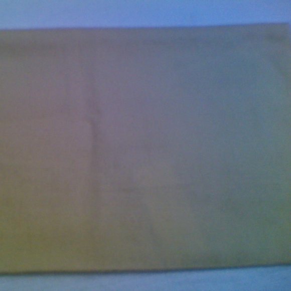 Louis Vuitton Wristlet Dust Bag - Picture 9 of 11